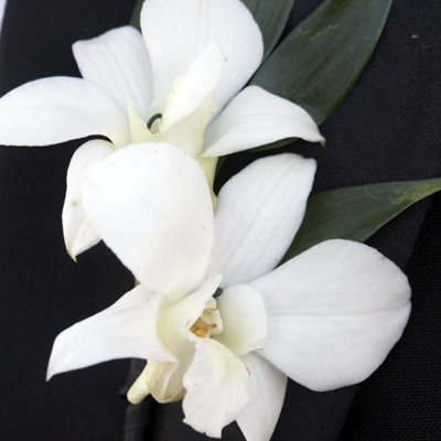 Boutonniere - Dendrobium Orchids
